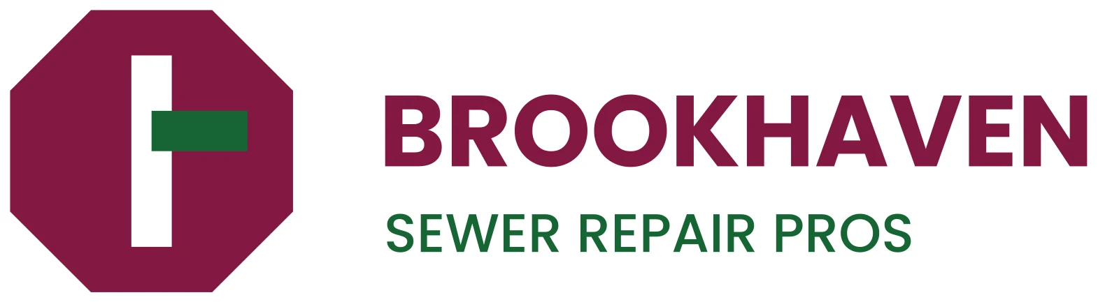 Brookhaven Sewer Repair Pros logo